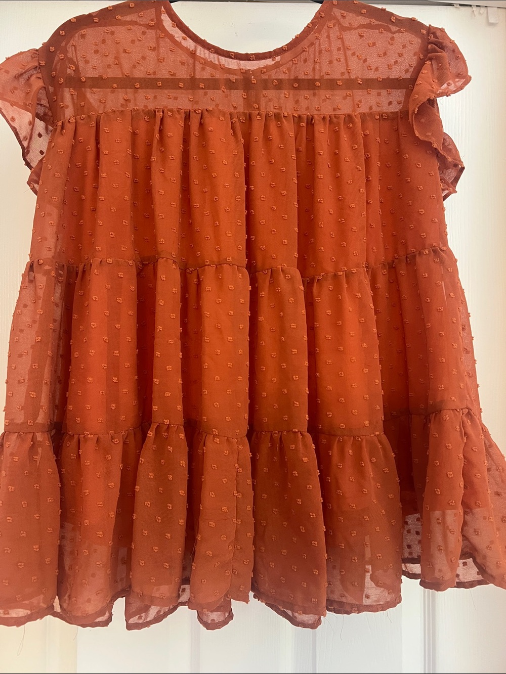 Entro Rust Orange Swiss Dot Ruffled Sheer Blouse